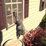 Goat Simulator: Locations of All Goat Trophies